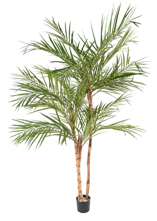 Palmier Artificial ARECA PALM *3 -170CM
