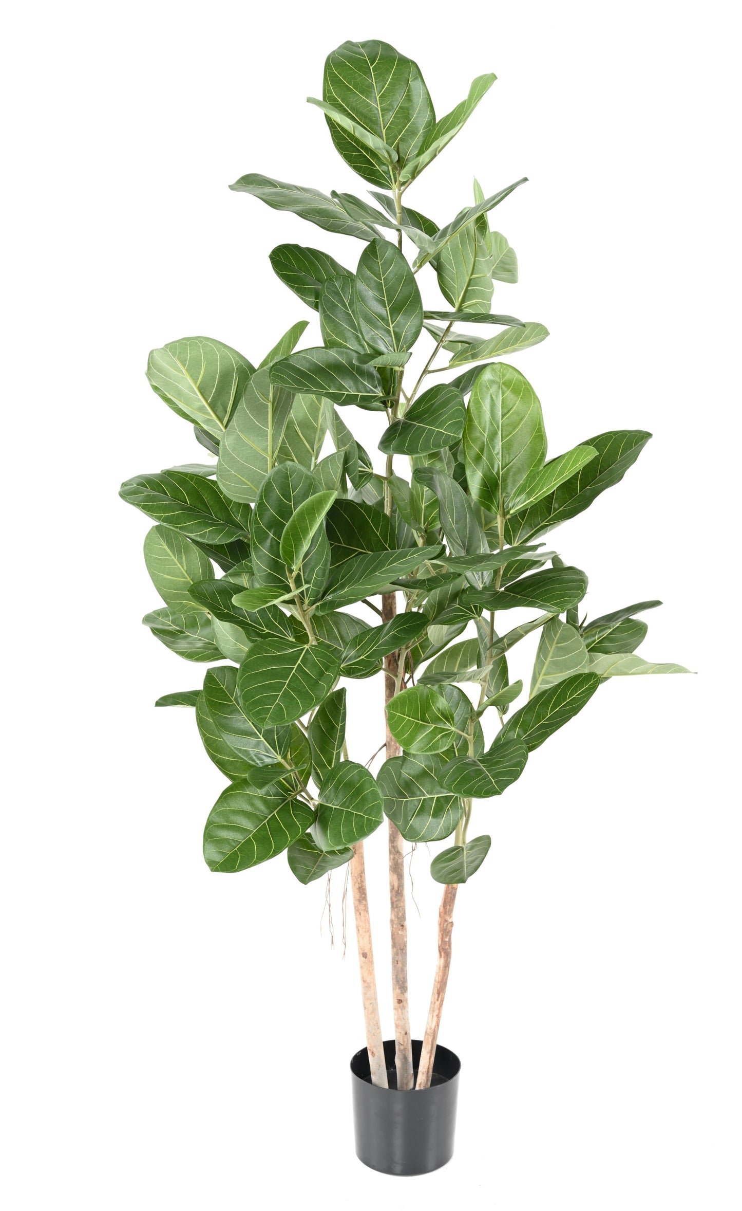 Ficus Audrey artificial -150cm