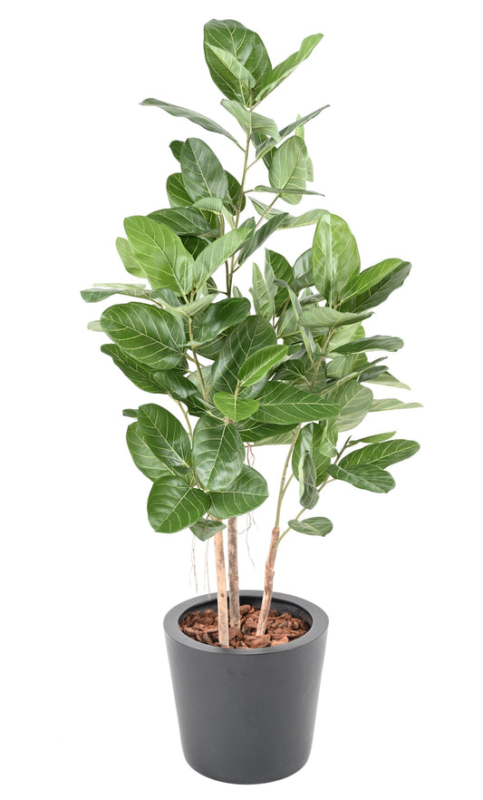 Ficus Audrey artificial -150cm
