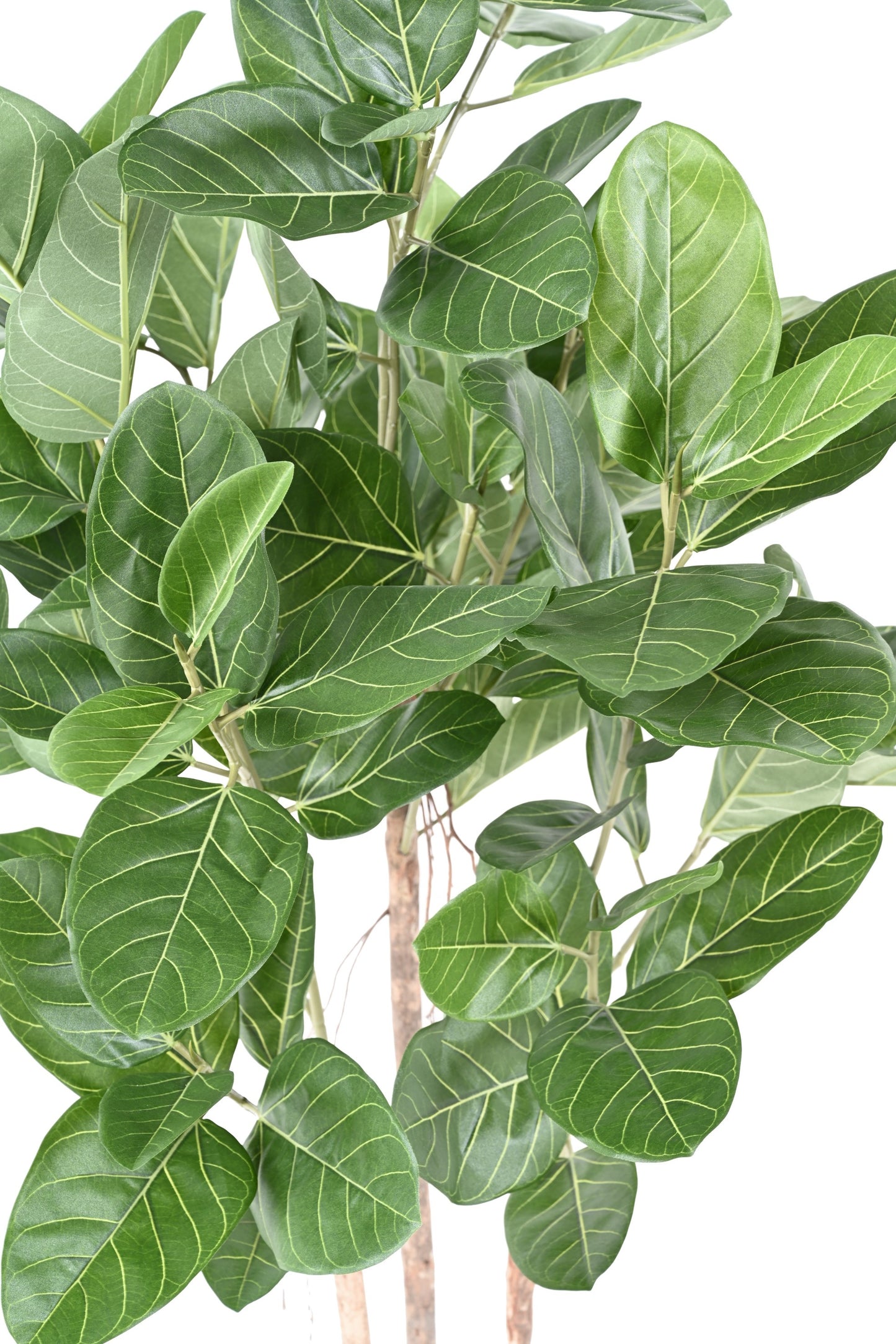 Ficus Audrey artificial -150cm