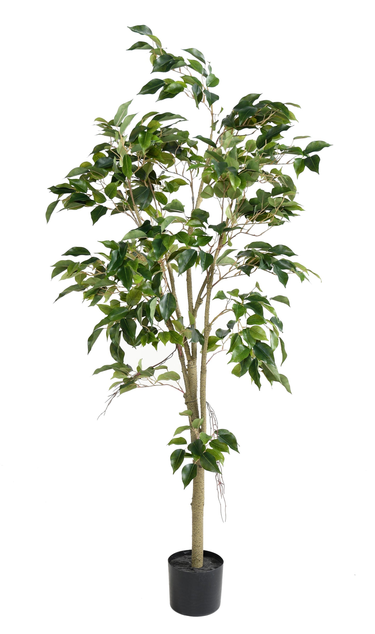 Ficus Artificial -150cm