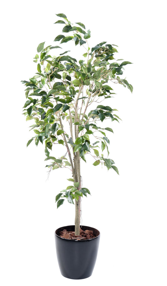 Ficus Artificial -150cm