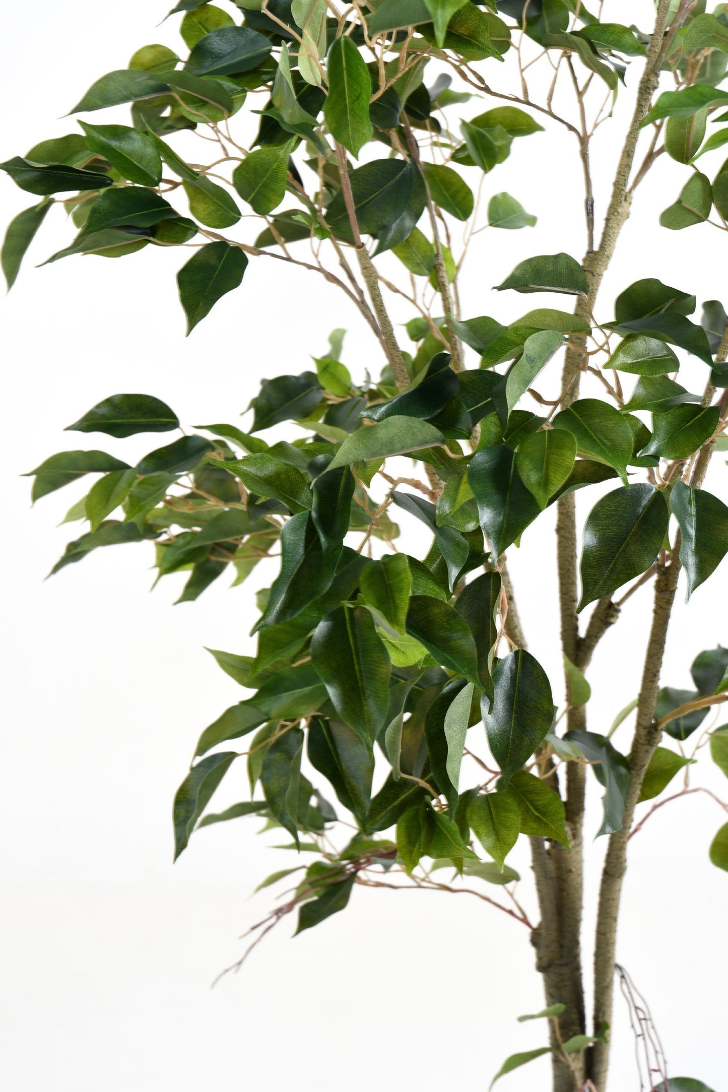 Ficus Artificial -150cm